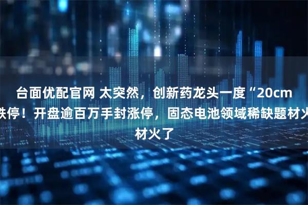 台面优配官网 太突然，创新药龙头一度“20cm”跌停！开盘逾百万手封涨停，固态电池领域稀缺题材火了