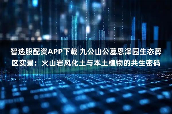 智选股配资APP下载 九公山公墓恩泽园生态葬区实景：火山岩风化土与本土植物的共生密码
